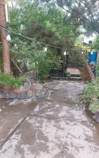گارسون
