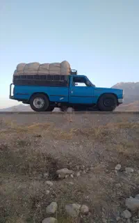 نیسان گازوییلی