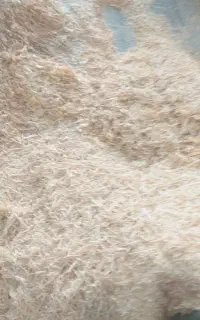 تراشه چوب و ضایعات چوب