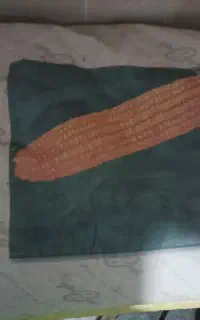 بذر ذرت 704