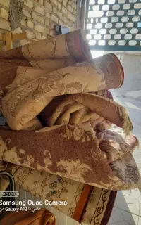 دو عدد قالی 12متری تمام نخ