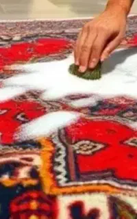 قالیشویی ومبل شویی دستی  ممتاز   (شوی)