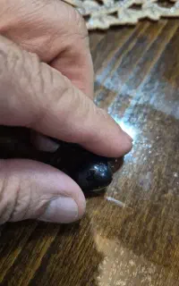 ایرپاد یک لنگه پیدا کردم