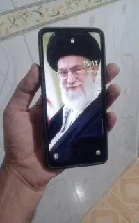 گوشی آصفر۳ خشک