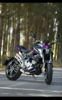 زونتس مدل زد فور(Z4)