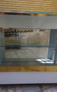 میز پاچال درحدخشک