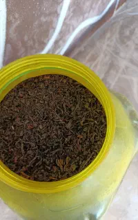 چای ایرانی