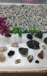 فروش آکواریوم شرکتی