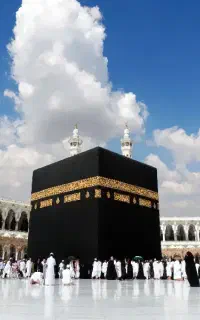 فیش حج