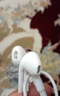 هنسفری
