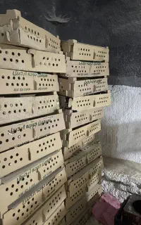 کارتن حمل جوجه