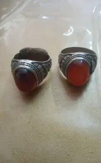 بزغاله انگشتر