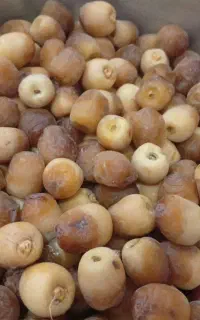 اشپز