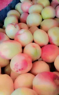 زردالو. تازه چین عصلی