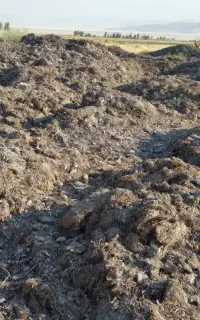 کمپوست سالن قارچ
