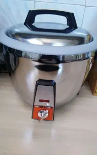 پلوپز برقی