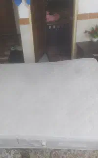 تشک رویا