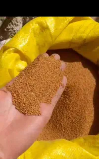 کاملینا بوجار شده