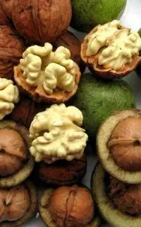 رفع ریزش وپوکی