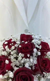 اجاره لاین زیبایی