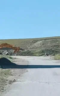 سند تک برگ فرهنگیان پارک جنگلی