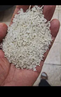 برنج سرلاشه پاکستانی