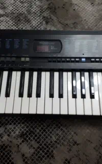 ارگ  CASIO