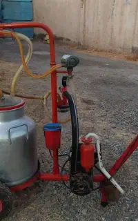 شیردوش‌گاو