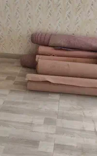 موکت