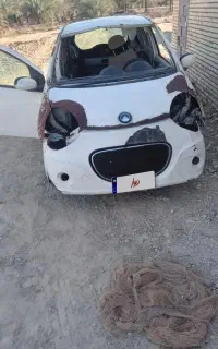 شادگان