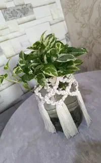 گلدان شیشه ای مکرومه بافی