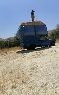 خریدوفروش یونجه و کاه به صورت نقدی
