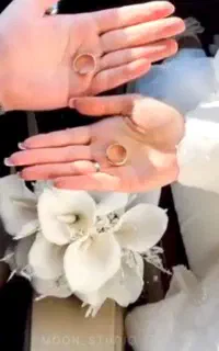 تالار،تشریفات ،آتیلیه،دی جی،آرایشگاه عروس