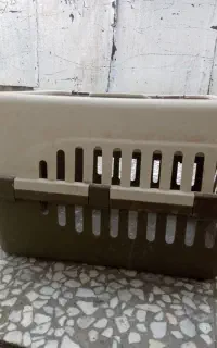 باکس حیوانات