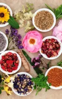 آموزش طب سنتی