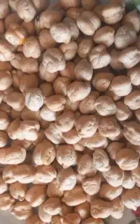 فروش نخود