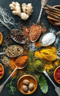 فروشنده خانم شیفت صبح