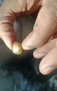 سنگه قدیمی