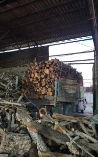 هرسکاری و برسکاری و خرید چوب