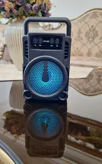 اسپیکر گریت نایس مدل GTS-1360