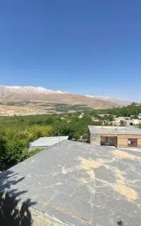 استخدام نیروی کار اتباع