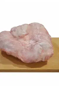 گوسفند