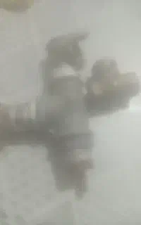 به فروش میرس
