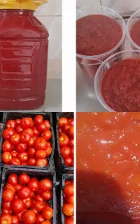 آبغوره. رب گوجه فرنگی