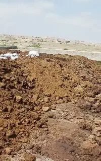 کود حیوانی