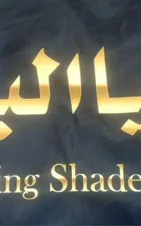 استخدام حسابدار