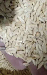 جو محلی تمیز