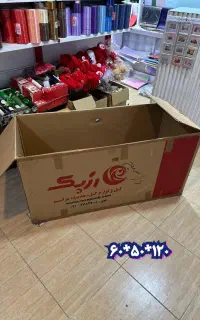 کارتن