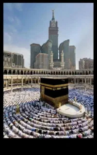 حاج تمتع 84