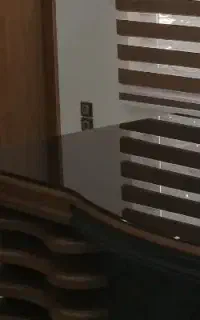منشی خانم